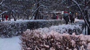 КРАСНОЯРСКИЕ ВЫХОДНЫЕ: ЗИМА ДЕЛАЕТ ТЕСТОВЫЙ ЗАХОД