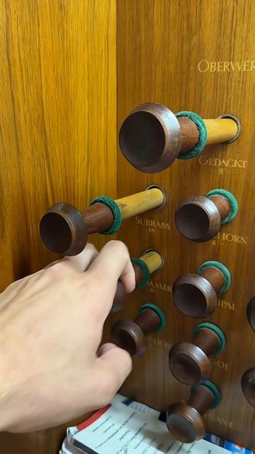 Органный АСМР #органист #органнаямузыка #германлеонов #музыка смотреть онлайн