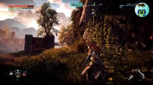 Horizon Zero Dawn Complete Edition. 63 Только игровой процесс. Без комментария.