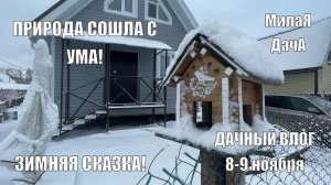 Зимняя сказка | Взошли первоцветы | Дачный влог 8-9 ноября