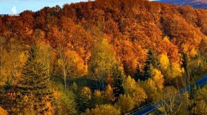 Красивая расслабляющая музыка 🍁 Осенние мелодии для снятия стресса и исцеления