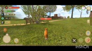 Симулятор Кота и Кошки - (1 серия) - Охота: Глухарь, Мышь, Енот, и Паук