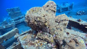 Diving Indonesia November 2025