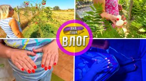 Что с садом после лета? Инжир, слива, яблоки. Где урожай? Неоновые ноготочки. Крупные яйца. Виноград