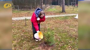 РЕБЯТА ИЗ ПЕРВИЧНОГО ОТДЕЛЕНИЯ "ДВИЖЕНИЯ ПЕРВЫХ" ЛИЦЕЯ №12 ПОМОГЛИ ВЫСАДИТЬ СОСНЫ В "ОЛИМПИЙЦЕ"