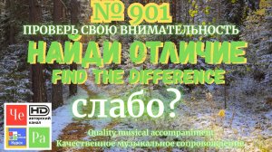 "Найди отличие" / "Spot the Difference" _ выпуск № 901