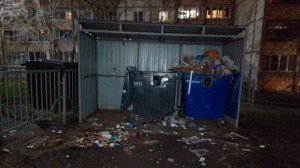 Встреча на местности с заместителем начальника управления по вопросу КОНТЕЙНЕРНОЙ площадки вне закон