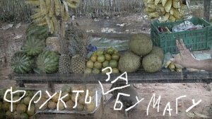 Зачистили все доступные места поживы || Mad Max #67