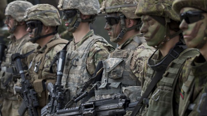 Армия Литвы опасается, что 5% ВВП ей хватит только на коктейли Молотова