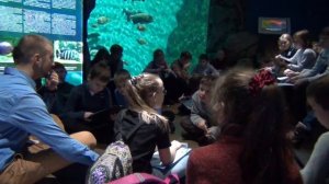 2019 МБОУ СОШ №67 г. Владивостока. В океанариуме 4В / 2