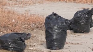 Озеро Севан очистили от пластика и бытовых отходов в Армении