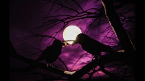 Sub Urban - Mercury (Official Animation)