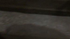 теорема ЖКХ_Подъезд_202511.13_14-40