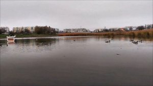 Керчь. Утиное озеро на Ворошилова.