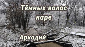 Темных волос каре (авторская песня)