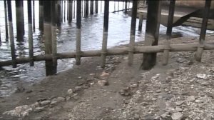 Неожиданно