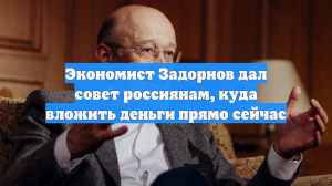 Экономист Задорнов дал совет россиянам, куда вложить деньги прямо сейчас