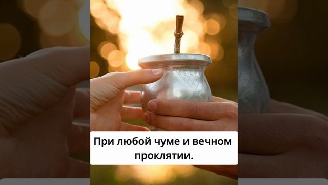 Об аргентинском матэ