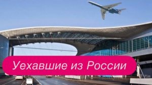 Два самых каверзных вопроса в Шереметьево. #новости #шереметьево