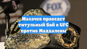 Махачев проведет титульный бой в UFC против Маддалены