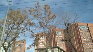 ЕСЛИ ХОЧЕШЬ ДОБИТЬСЯ УСПЕХА_ПРОДОЛЖАЙ ВЕРИТЬ В СЕБЯ ДАЖЕ ТОГДА, КОГДА В ТЕБЯ УЖЕ НИКТО НЕ ВЕРИТ....