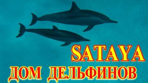 "ДОМ ДЕЛЬФИНОВ" (РИФ САТАЙЯ) НА ЯХТЕ, Марса-Алам. Египет #египет #дельфины
