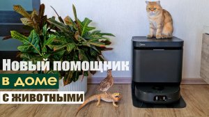 Как мы справляемся с уборкой в доме с животными? Midea VCR V15 Pro Ultra!