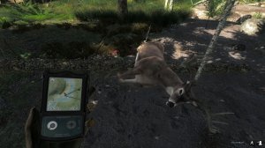 theHunter Classic - миссия большие рога 12 отростков