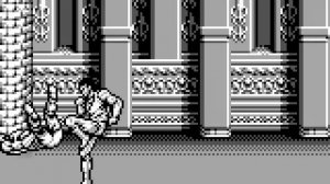 Raging Fighter (US/EU) [Game Boy]