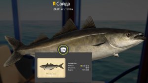 РР 4 ! Море 34 банка !!!