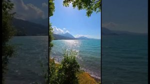 Благодарю... Песня - медитация на стихи Н Светловой