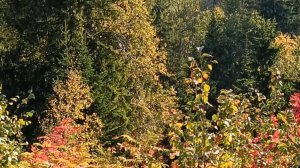 ПЕРМСКИЙ КРАЙ. НА СМОТРОВОЙ ПЛОЩАДКЕ