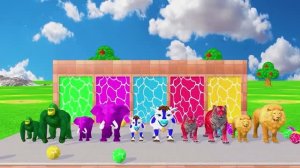 МУЛЬТИКИ ДЛЯ МАЛЫШЕЙ. Кто твой любимый зверёк? Смотри мультики и выбирай!