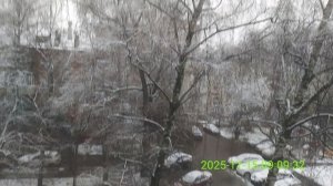 Первый снег 15.11.2025  etug377ffugf743f