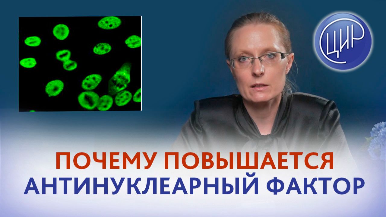 Почему повышается антинуклеарный фактор (АНФ)? Анна Игоревна Дрожжина.