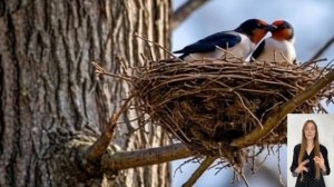 Виктория Давыденко - Ласточки - читает Кристина Клишова - нейромелодекламация