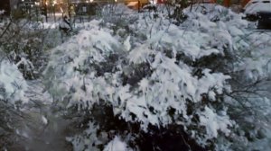 Первый снег / Ночь.Улица. Фонарь ...15.11.2025г.