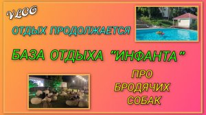 🌞Отдых продолжается/ Купаемся, загораем, готовим, кушаем, смотрим мультики/Про бродячих собак/День5