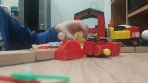 у собаки нет мозга