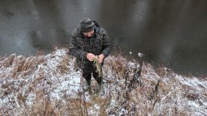 Рыбалка. 15 11 .2025 год.