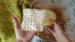 СП Пледомания, старт 3)