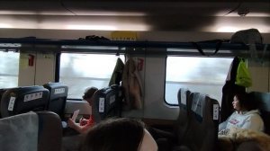 В поезде "Аврора". Проезжаем Иваньковское водохранилище. 12.11.25.