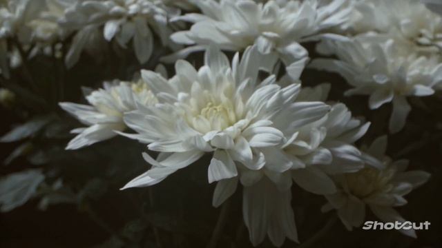 УТРЕННИЙ РЕЛАКС С ЧУДЕСНОЙ МУЗЫКОЙ