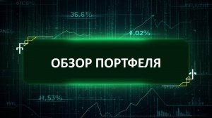 Обзор портфеля