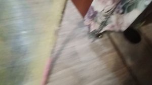 мой батут чеееек