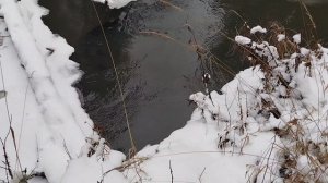 Проверка капканов...Начало сезона 25-26...