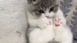 Как сладенько,как вкусненько!