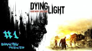 ДОБРО ПОЖАЛОВАТЬ В ХАРРАН | DYING LIGHT #1
