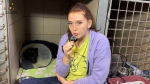 У Найти по всей спине кусаные раны