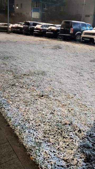 Первый снег 15-11-2025